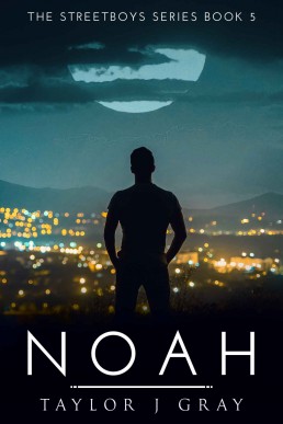 Noah (StreetBoys #5)