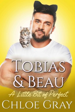 Tobias and Beau (A Little Bit of Perfect Book 3)