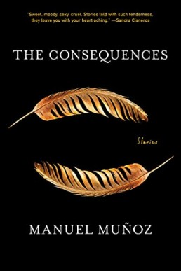 The Consequences: Stories