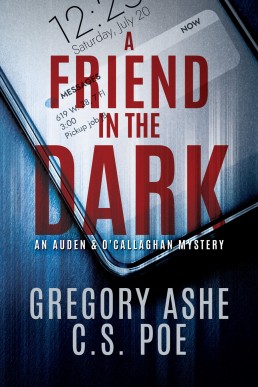 A Friend in the Dark (An Auden & O'Callaghan Mystery Book 1)