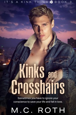 Kinks and Crosshairs (It's a Kink Thing 3)