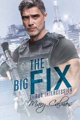 The Big Fix (Torus Intercession Book 5)