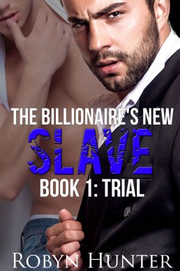 The Billionaire's New Slave - Book 1: Trial