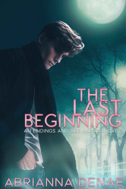 The Last Beginning : An Endings and Beginnings Novel