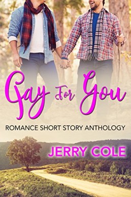 Gay For You (Romance Short Story Anthology Book 1)