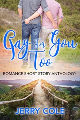 Gay For You Too (Romance Short Story Anthology Book 2)
