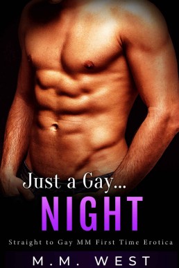 Just a Gay... Night: Straight to Gay MM First Time Erotica