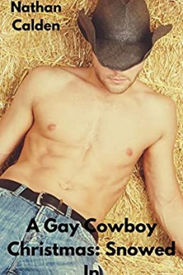 A Gay Cowboy Christmas: Snowed In