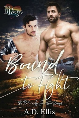 Bound to Fight (The Blueridge Junction Boys #3)