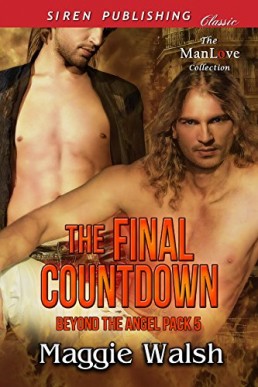 The Final Countdown [Beyond the Angel Pack 5]