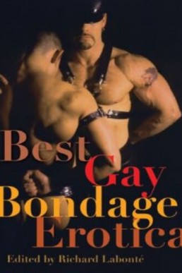 Best Gay Bondage Erotica