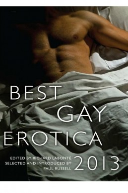 Best Gay Erotica 2013