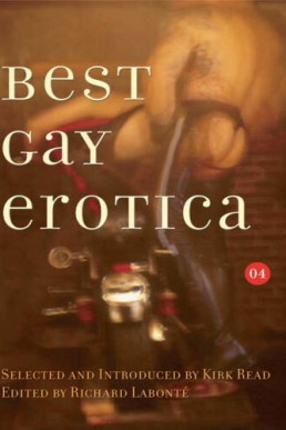Best Gay Erotica 2004