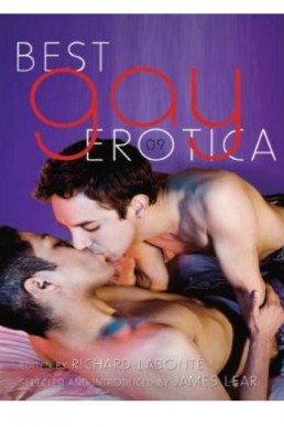 Best Gay Erotica 2009