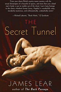 The Secret Tunnel (Mitch Mitchell Mystery #2) James Lear