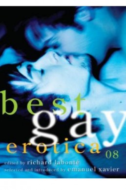 Best Gay Erotica 2008