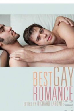 Best Gay Romance 2013