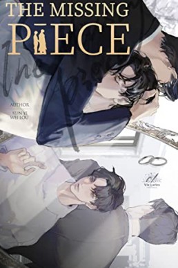 The Missing Piece  貌合神离 （English Edition