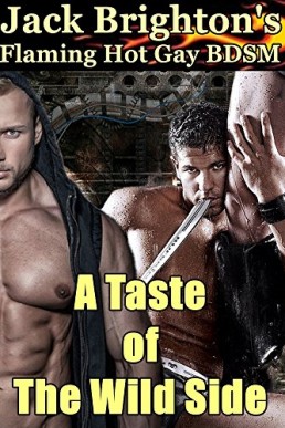 A Taste of The Wild Side (Tales from The Wild Side 2)