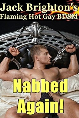 Nabbed Again! (The Nabster Book 2)