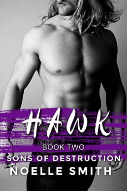 Sons of Destruction: Hawk