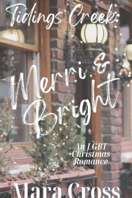 Tidings Creek: Merri &amp; Bright: an LGBT Christmas romance