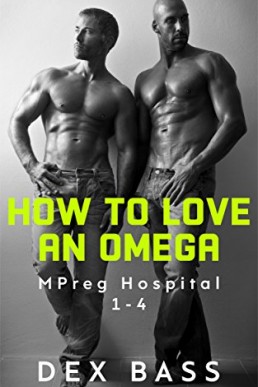 How to Love an Omega (MPreg Hospital Books 1-4)