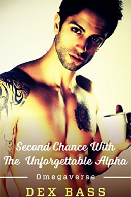 Second Chance with the Unforgettable Alpha (Omegaverse Book 2)