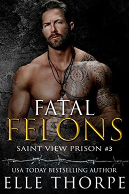 Fatal Felons (Saint View Prison Book 3)