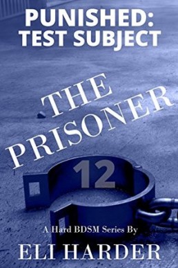 The Prisoner: Punished; Test Subject (The Prisoner, Book 12)