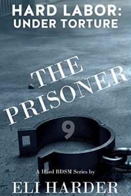 The Prisoner: Hard Labor; Under Torture (The Prisoner, Book 9)
