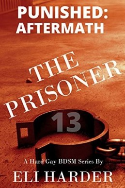 The Prisoner; Punished: Aftermath (The Prisoner, Book 13)