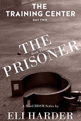 The Prisoner: The Training Center, Day Two (The Prisoner, Book 3)