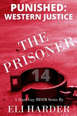 The Prisoner: Punished; Western Justice (The Prisoner, Book 14)