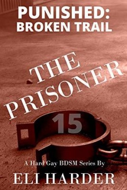 The Prisoner: Punished; Broken Trail (The Prisoner, Book 15)