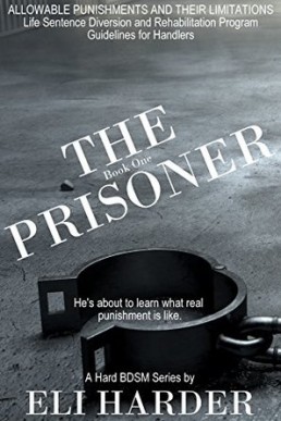 The Prisoner: He's About To Learn What Real Punishment Is Like (The Prisoner, Book 1)