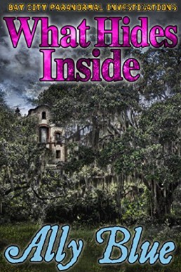 What Hides Inside (Bay City Paranormal Investigations Book 2)