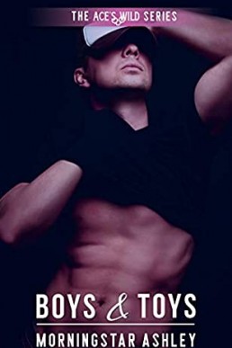 Boys & Toys (Ace's Wild, Book 9)