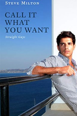 Call It What You Want Series (Straight Guys Book 12)