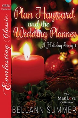 Plan Hayward and the Wedding Planner (A Holiday Story 1)