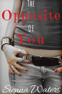 The Opposite of You