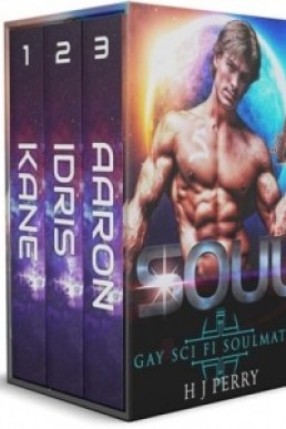 Soul (Soulmates Set 01-03)