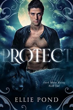 Protect (Dark Moon Rising #2)