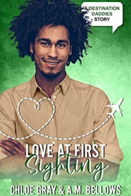 Love at First Sighting (Destination Daddies Season Two)