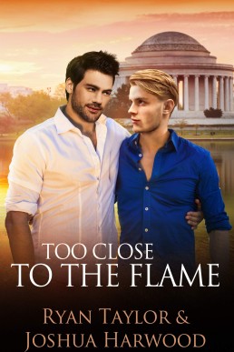Too Close to the Flame