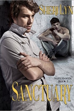 Sanctuary (Safe Haven 2)