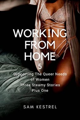 Working From Home 5: Lesfic Series, FF erotica, FF first time (Supporting the Queer Needs of Women Three Steamy Stories Plus One) (PDF)