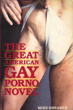 The Great American Gay Porno Novel
