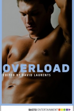 Overload (Gay Erotica Classics)