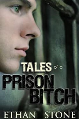 Tales of a Prison Bitch (2nd Ed., 2017)